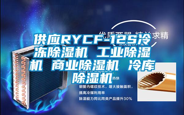 供应RYCF-12S冷冻除湿机 星空娱乐彩票是什么网站 商业除湿机 冷库除湿机