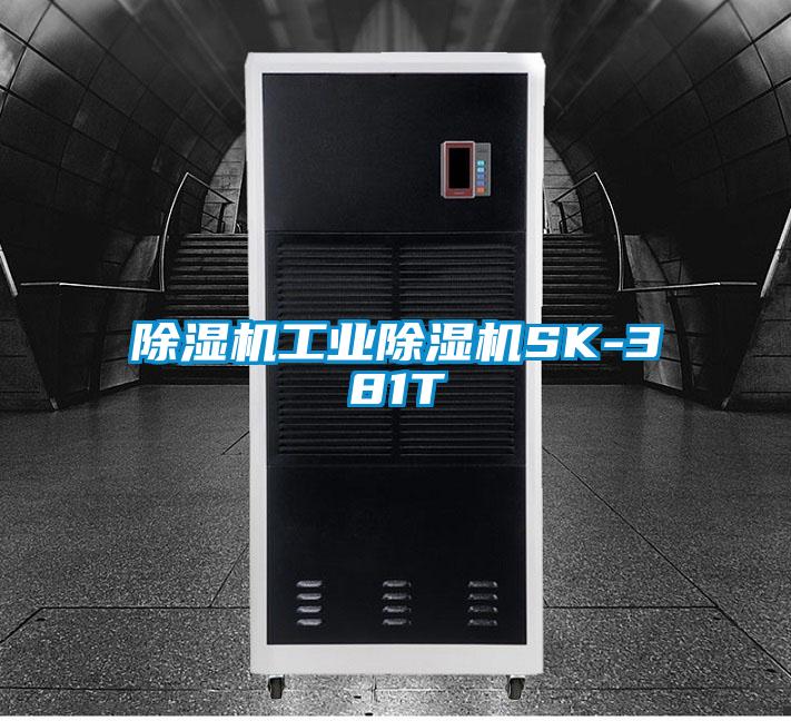 除湿机星空娱乐彩票是什么网站SK-381T