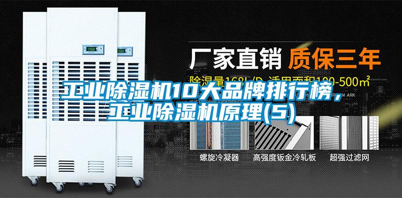 星空娱乐彩票是什么网站10大品牌排行榜，星空娱乐彩票是什么网站原理(5)