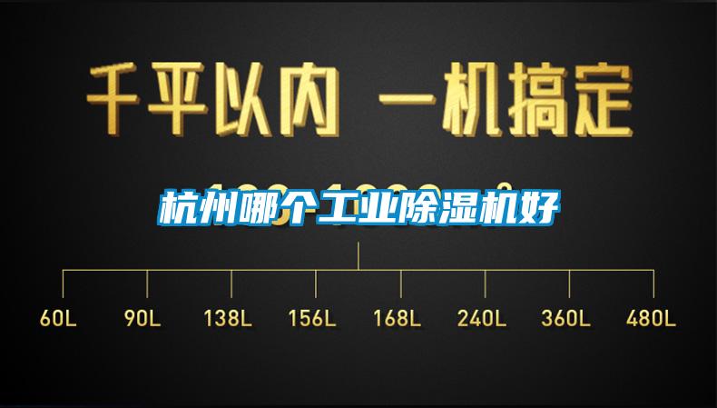杭州哪个星空娱乐彩票是什么网站好