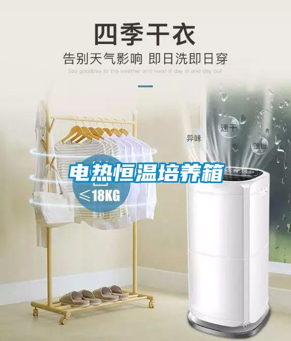 电热恒温培养箱