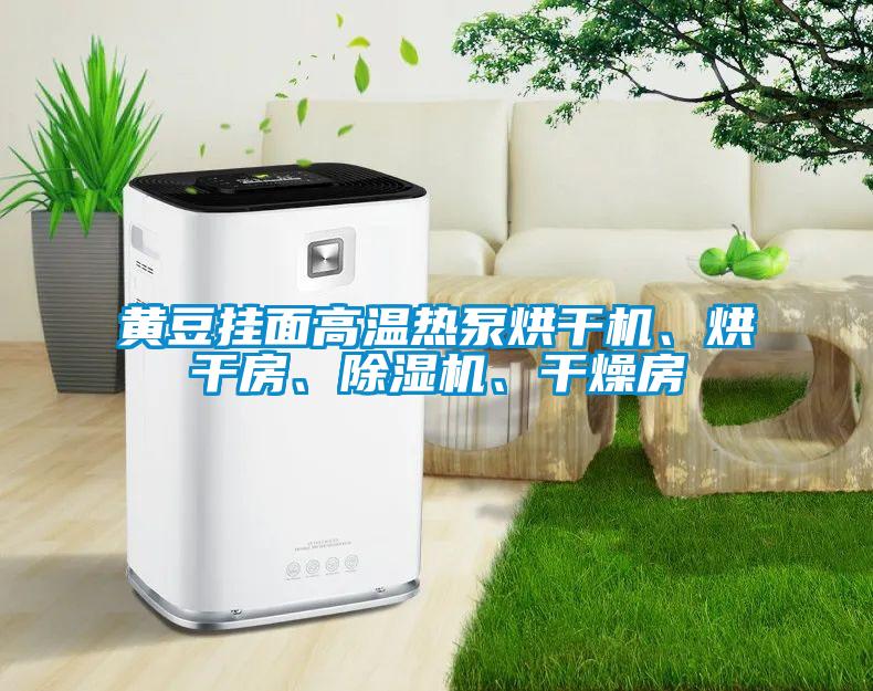 黄豆挂面高温热泵烘干机、烘干房、除湿机、干燥房