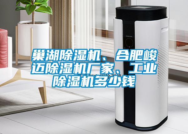 巢湖除湿机、合肥峻迈除湿机厂家、星空娱乐彩票是什么网站多少钱