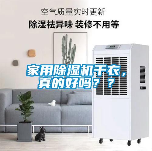 星空体育app官网干衣，真的好吗？？