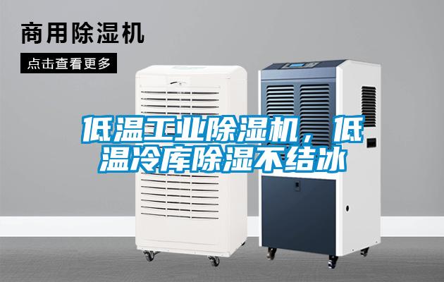 低温星空娱乐彩票是什么网站，低温冷库除湿不结冰