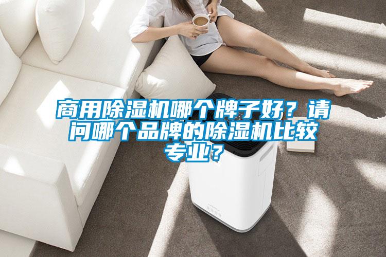 星空app官网下载手机版哪个牌子好？请问哪个品牌的除湿机比较专业？