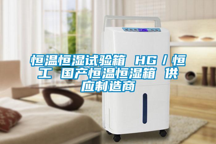 恒温恒湿试验箱 HG／恒工 国产恒温恒湿箱 供应制造商