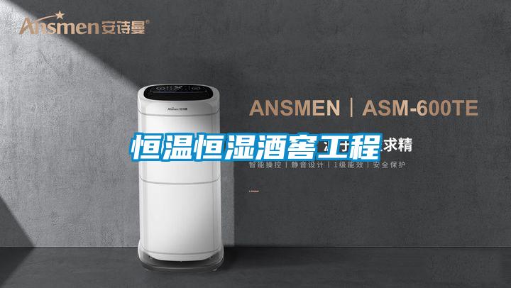 恒温恒湿酒窖工程
