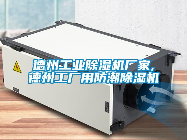 德州星空娱乐彩票是什么网站厂家,德州工厂用防潮除湿机