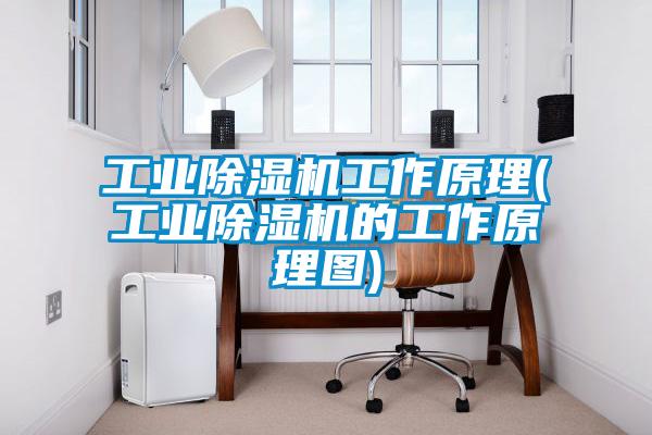星空娱乐彩票是什么网站工作原理(星空娱乐彩票是什么网站的工作原理图)