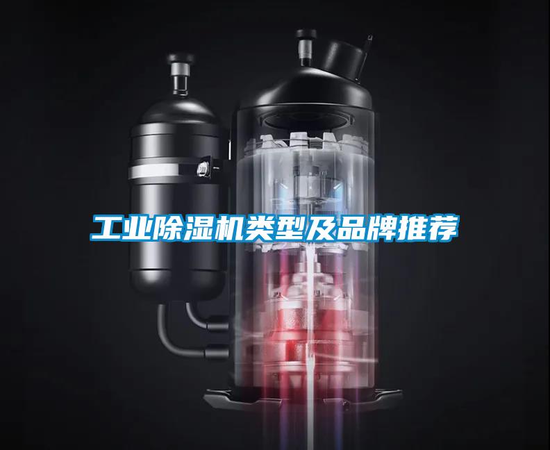 星空娱乐彩票是什么网站类型及品牌推荐