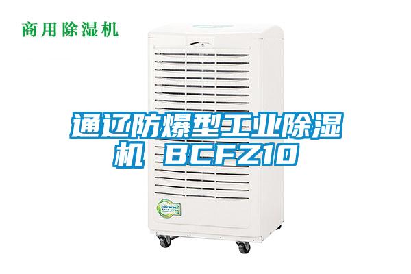 通辽防爆型星空娱乐彩票是什么网站 BCFZ10