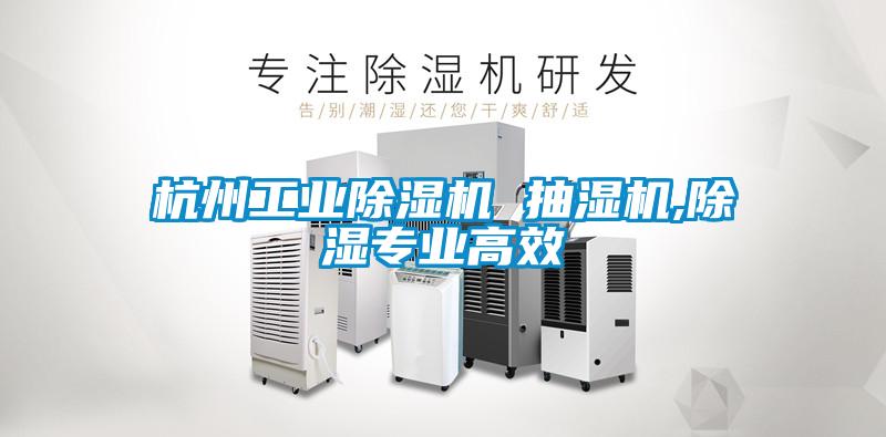 杭州星空娱乐彩票是什么网站 抽湿机,除湿专业高效