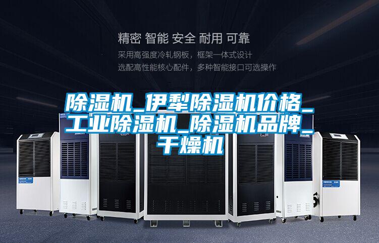 除湿机_伊犁除湿机价格_星空娱乐彩票是什么网站_除湿机品牌_干燥机