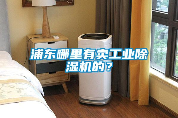 浦东哪里有卖星空娱乐彩票是什么网站的？