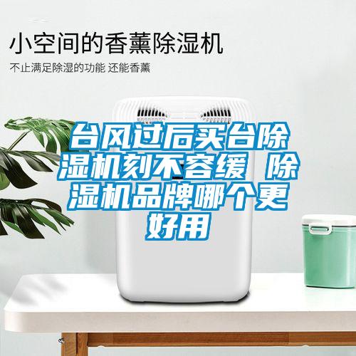 台风过后买台除湿机刻不容缓 除湿机品牌哪个更好用