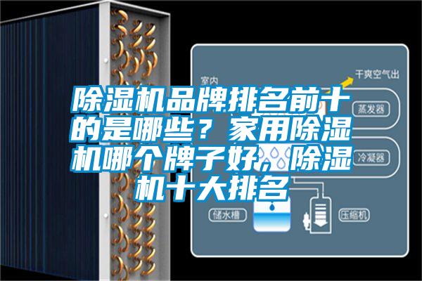 除湿机品牌排名前十的是哪些？星空体育app官网哪个牌子好，除湿机十大排名