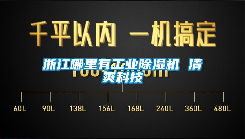 浙江哪里有星空娱乐彩票是什么网站 清爽科技