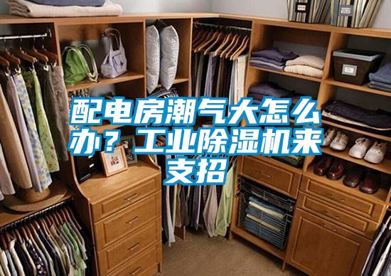 配电房潮气大怎么办？星空娱乐彩票是什么网站来支招