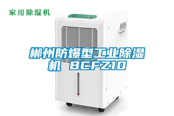 郴州防爆型星空娱乐彩票是什么网站 BCFZ10