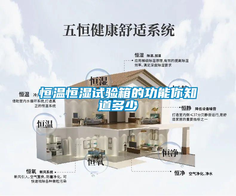 恒温恒湿试验箱的功能你知道多少