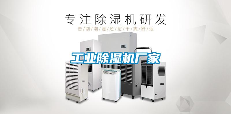 星空娱乐彩票是什么网站厂家