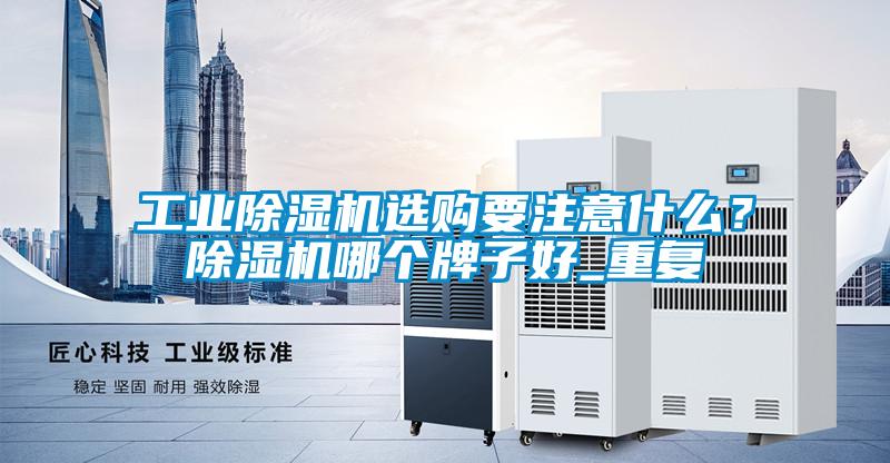 星空娱乐彩票是什么网站选购要注意什么？除湿机哪个牌子好_重复