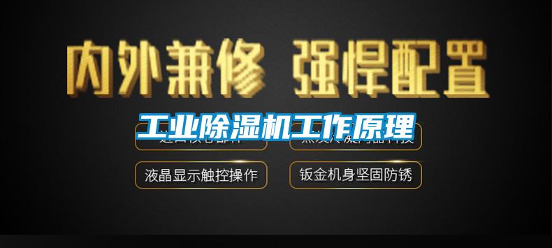 星空娱乐彩票是什么网站工作原理