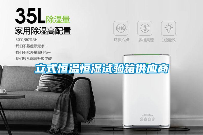 立式恒温恒湿试验箱供应商