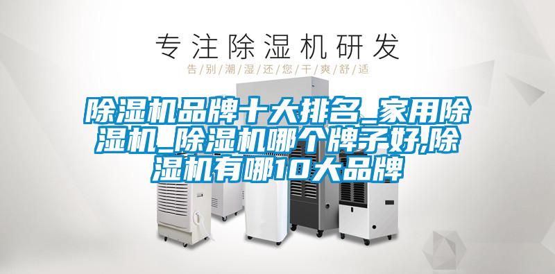 除湿机品牌十大排名_星空体育app官网_除湿机哪个牌子好,除湿机有哪10大品牌