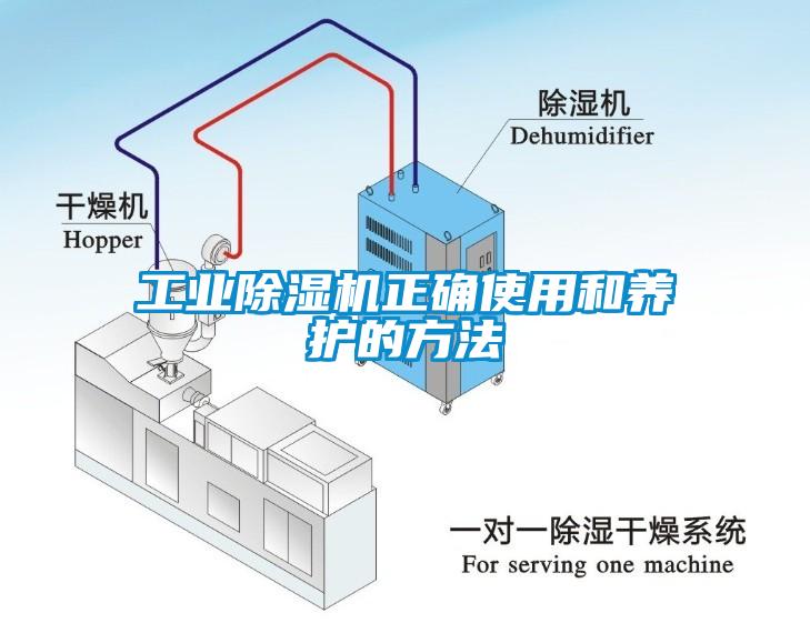 星空娱乐彩票是什么网站正确使用和养护的方法