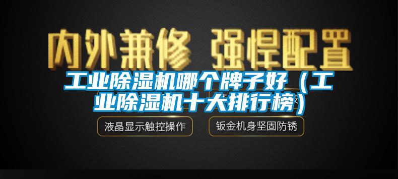 星空娱乐彩票是什么网站哪个牌子好（星空娱乐彩票是什么网站十大排行榜）