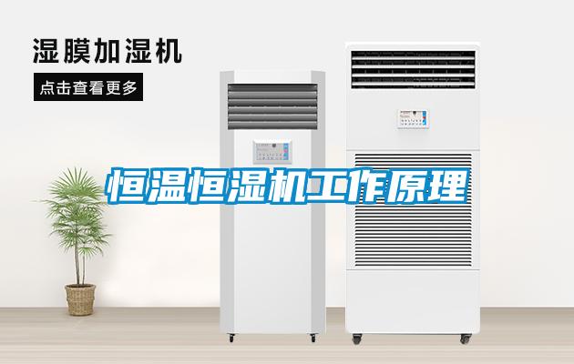 恒温恒湿机工作原理