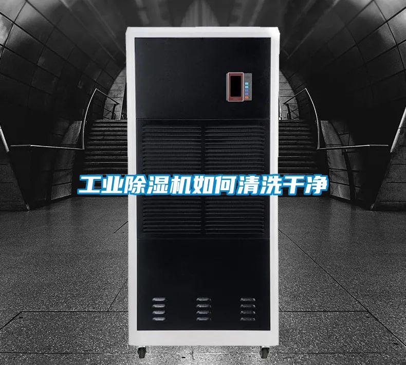 星空娱乐彩票是什么网站如何清洗干净