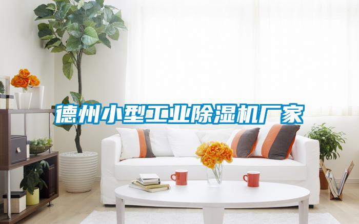 德州小型星空娱乐彩票是什么网站厂家