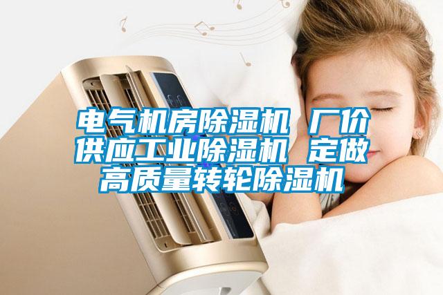 电气机房除湿机 厂价供应星空娱乐彩票是什么网站 定做高质量转轮除湿机