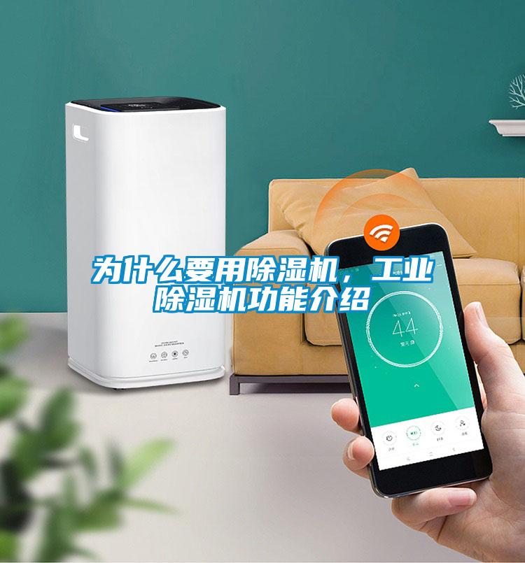 为什么要用除湿机，星空娱乐彩票是什么网站功能介绍