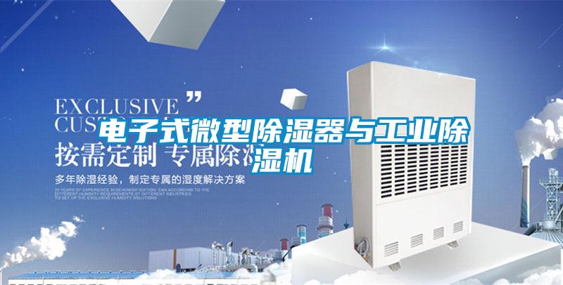 电子式微型除湿器与星空娱乐彩票是什么网站