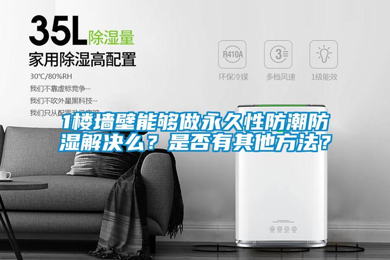 1楼墙壁能够做永久性防潮防湿解决么？是否有其他方法？