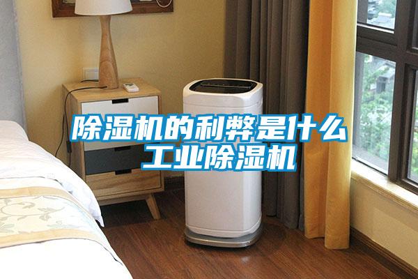 除湿机的利弊是什么 星空娱乐彩票是什么网站