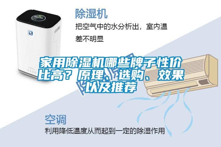 星空体育app官网哪些牌子性价比高？原理、选购、效果以及推荐