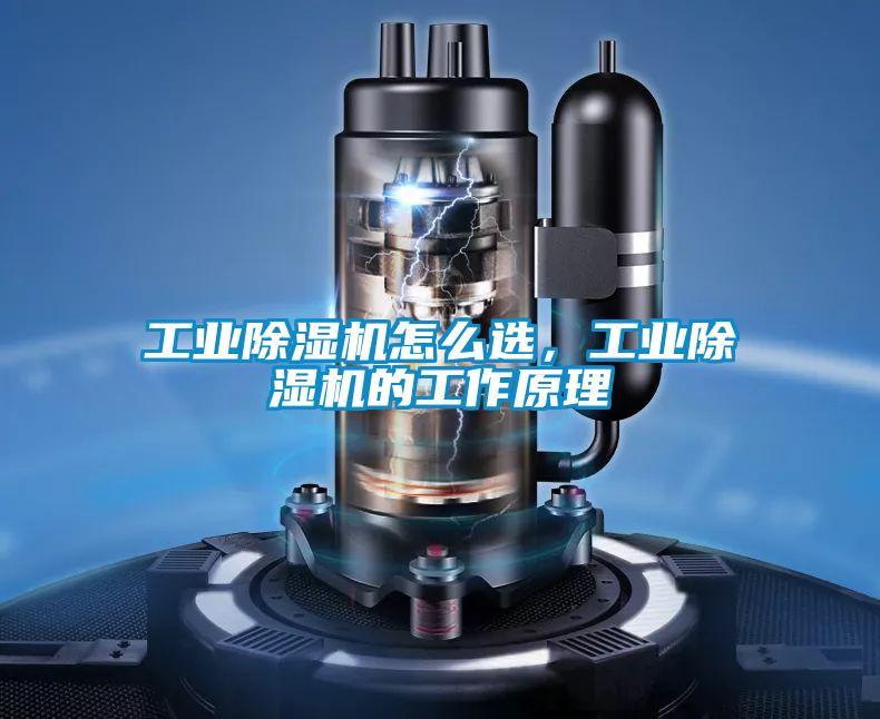 星空娱乐彩票是什么网站怎么选，星空娱乐彩票是什么网站的工作原理