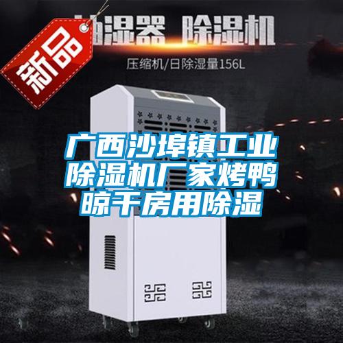 广西沙埠镇星空娱乐彩票是什么网站厂家烤鸭晾干房用除湿