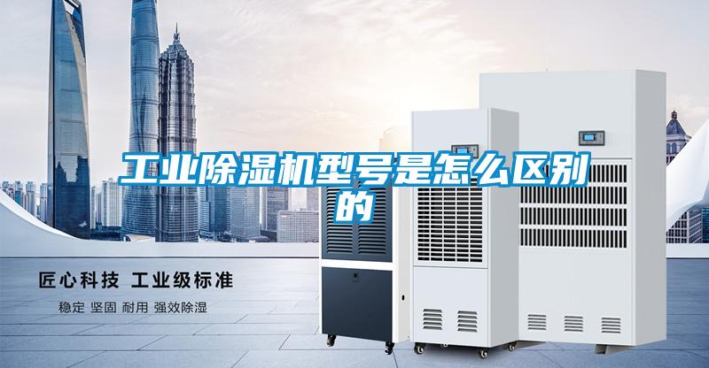 星空娱乐彩票是什么网站型号是怎么区别的