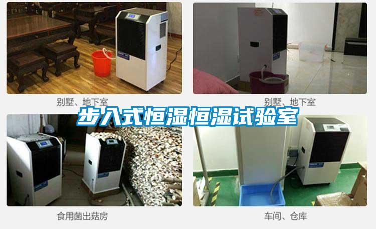 步入式恒湿恒湿试验室