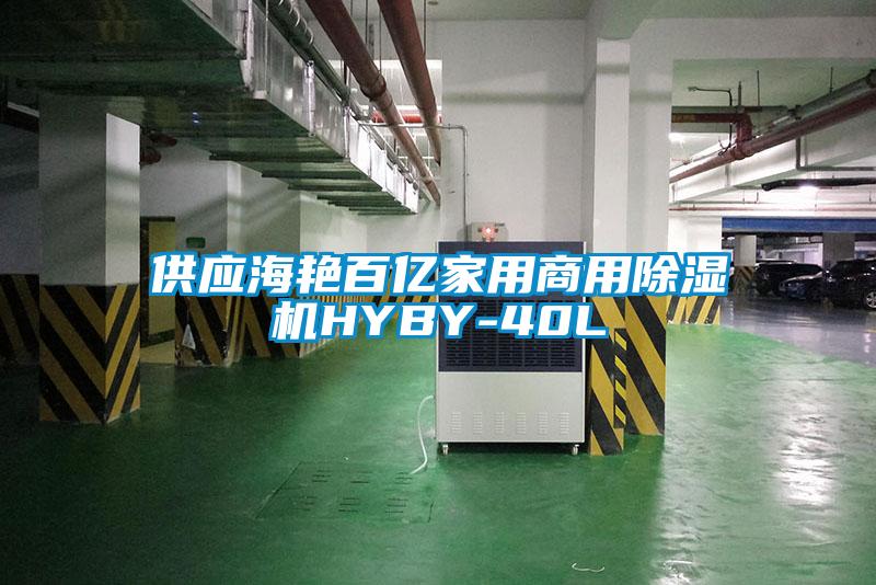 供应海艳百亿家用星空app官网下载手机版HYBY-40L