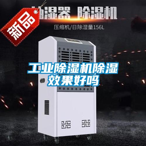 星空娱乐彩票是什么网站除湿效果好吗