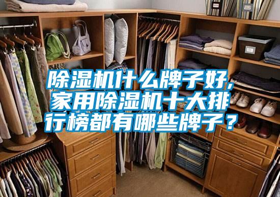 除湿机什么牌子好,星空体育app官网十大排行榜都有哪些牌子？