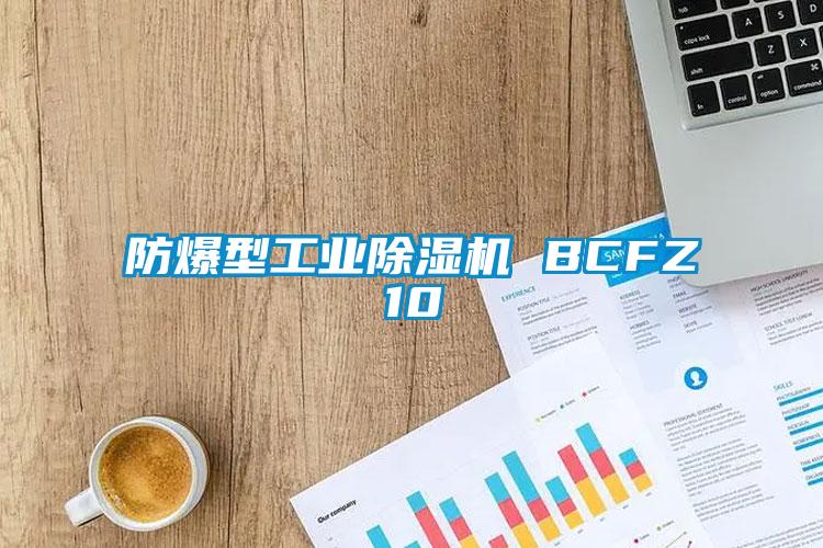防爆型星空娱乐彩票是什么网站 BCFZ10