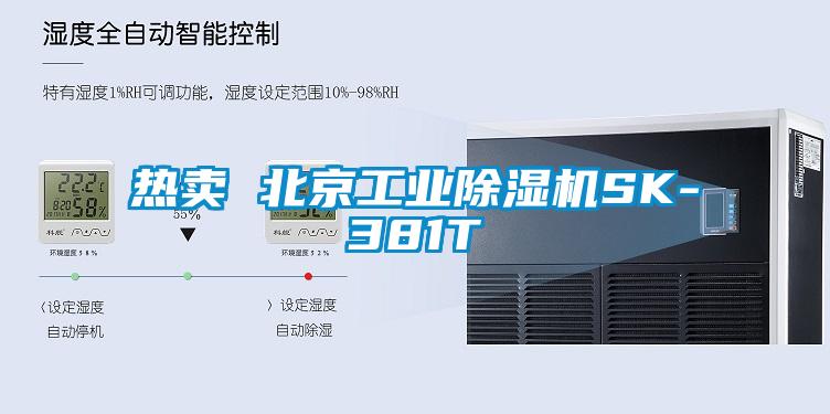热卖 北京星空娱乐彩票是什么网站SK-381T